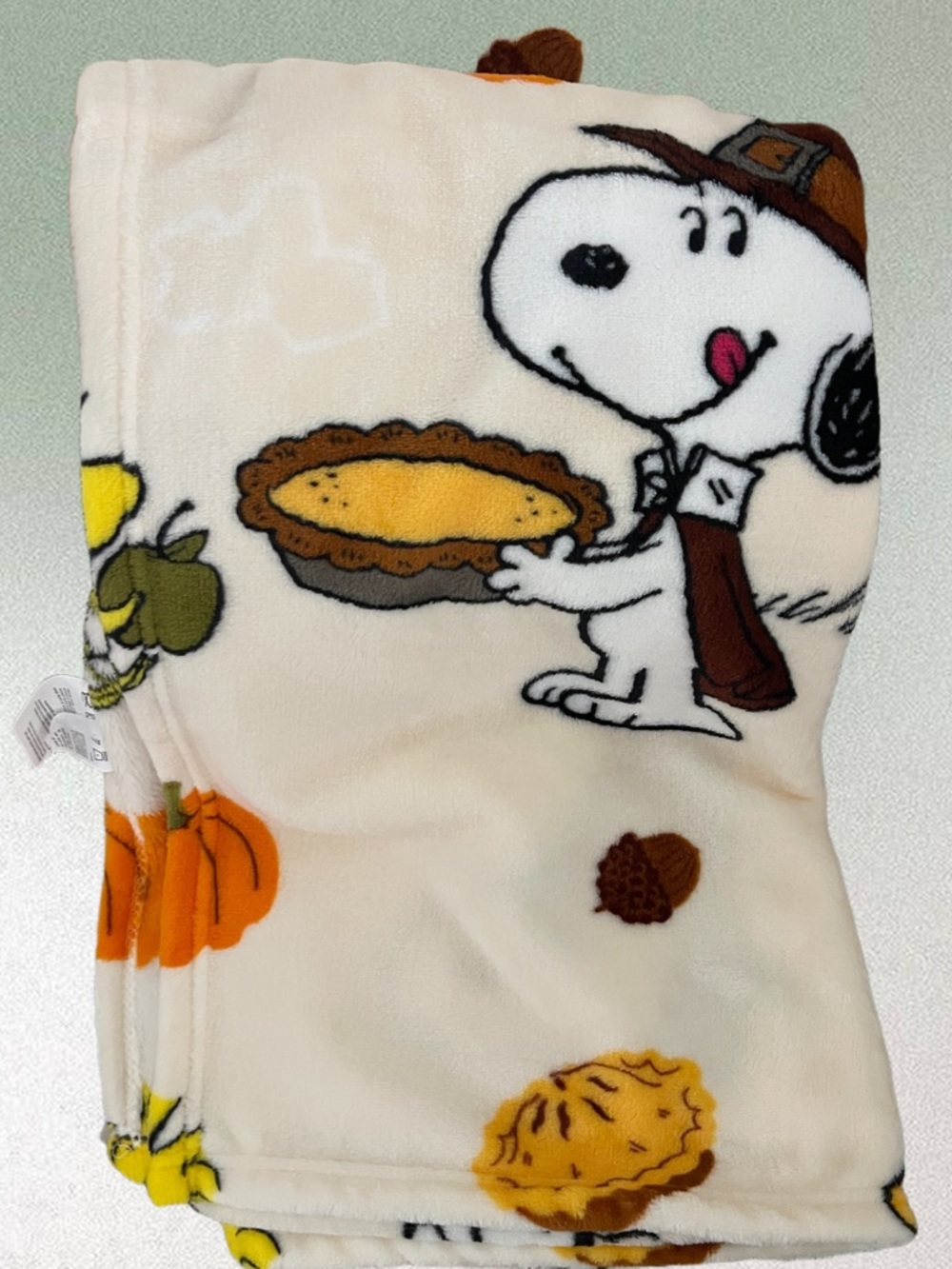 πPEANUTS OVERSIZED SNOOPY THANKSGIVING π¦ PLUSH FLEECE THROW BLANKET - Picture 4 of 6